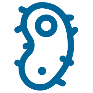 Ohio shaped image