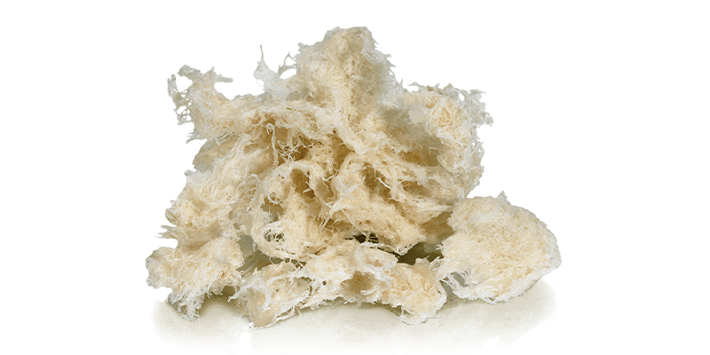 Verstärkung demineralisierter kortikaler Fasern