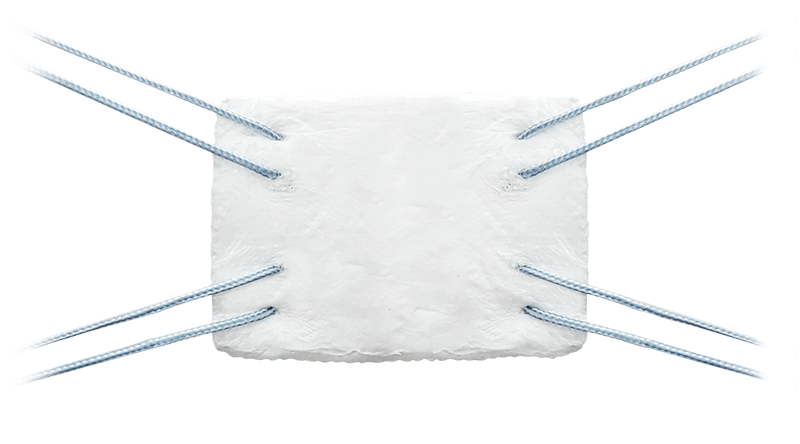 BioBrace Product