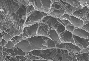 The BioBrace<sup>®</sup> Implant's Porous Structure